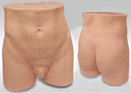HL-P 针灸臀部训练模型