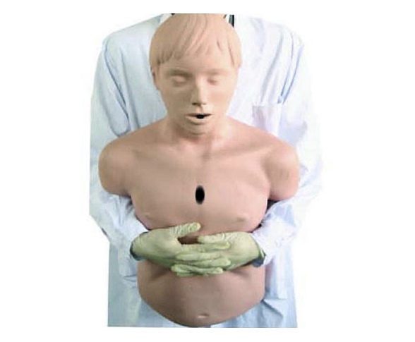 HL/CPR155 高级成人气道梗塞及CPR模型