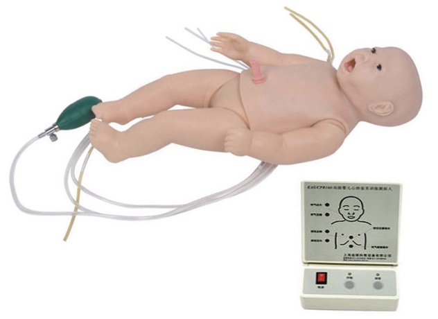 HL/FT335 全功能新生儿高级模拟人(护理、CPR）