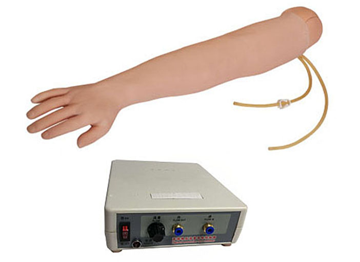 HL/S2A 高级手臂静脉穿刺及肌肉注射训练模型（带循环装置）