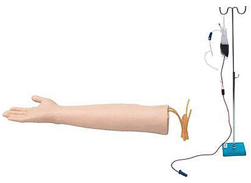 HL/S13 高级老年人静脉穿刺训练模型