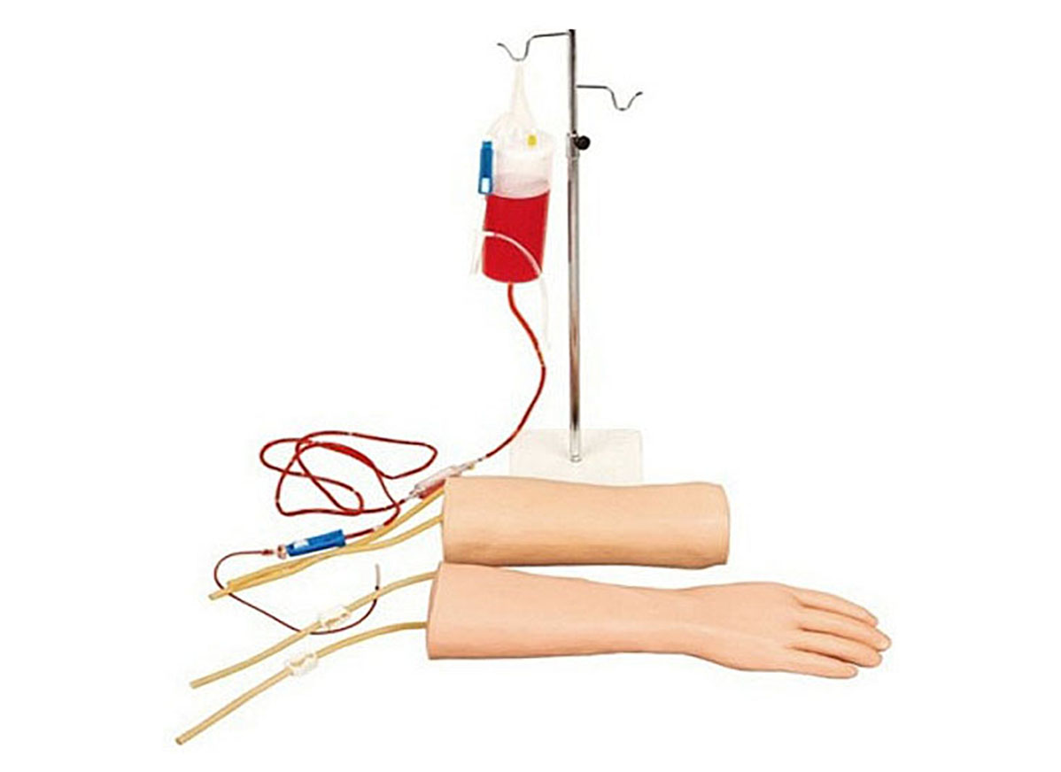 HL/S18 手部肘部组合式静脉穿刺输液训练模型