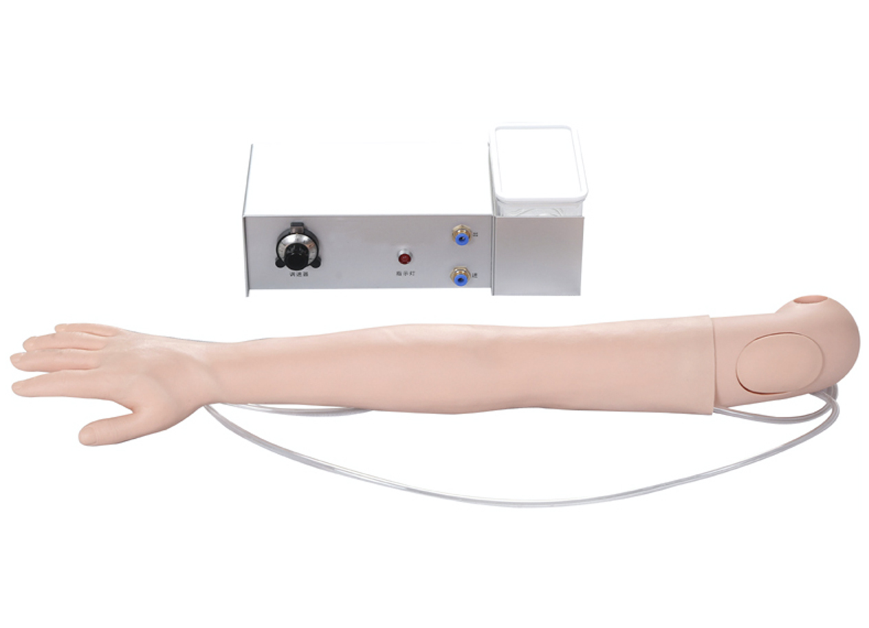 HL/S22A 高级静脉穿刺注射操作手臂模型