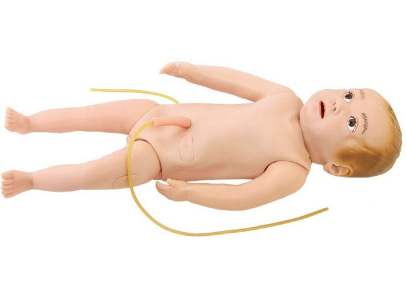 HL/HS9 高级婴儿全身静脉穿刺训练模型
