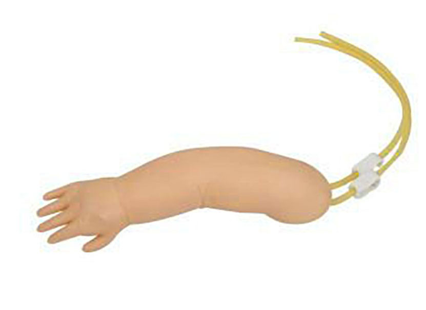 HL/S15 高级婴儿静脉穿刺手臂模型