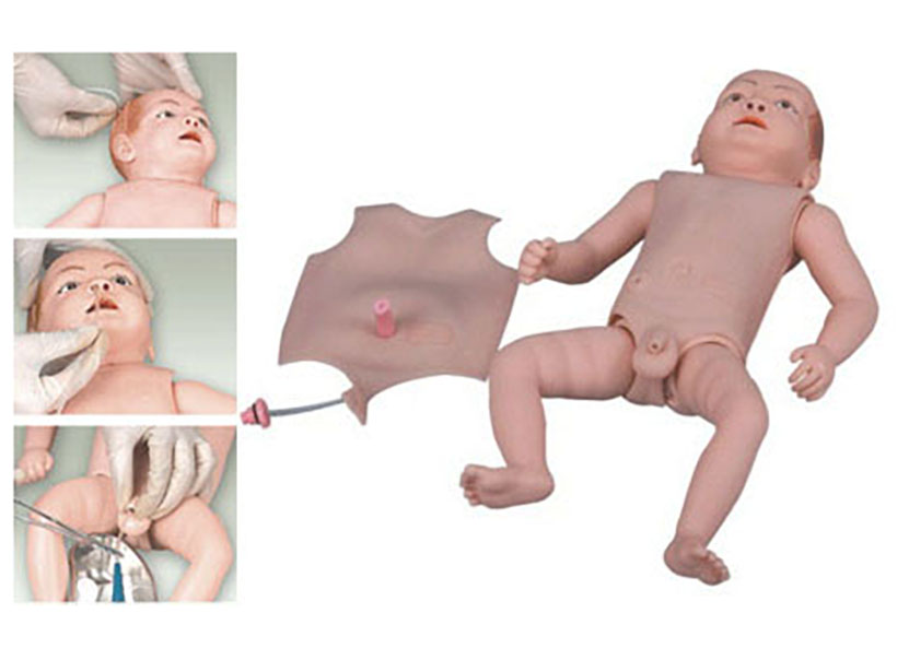 HL/1800 高级婴儿护理人模型