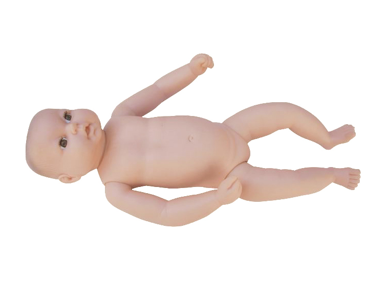 HL/FT3 高级出生婴儿模型
