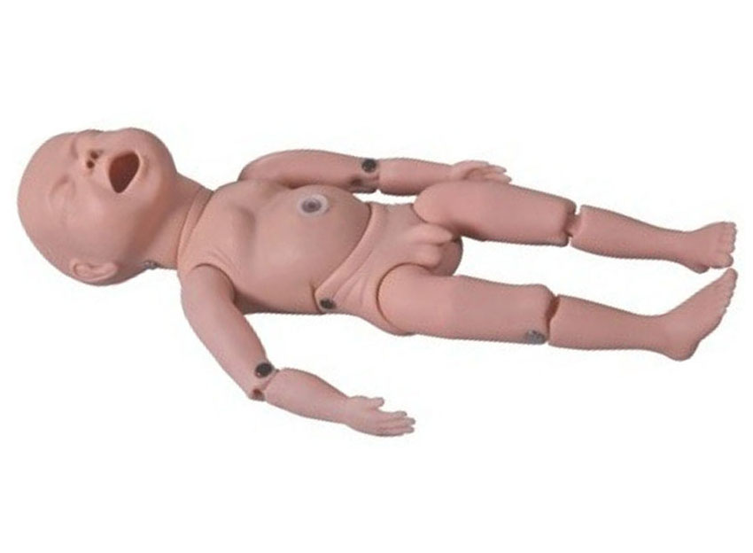 HL/FT5 高级新生儿模型（四肢可弯曲）