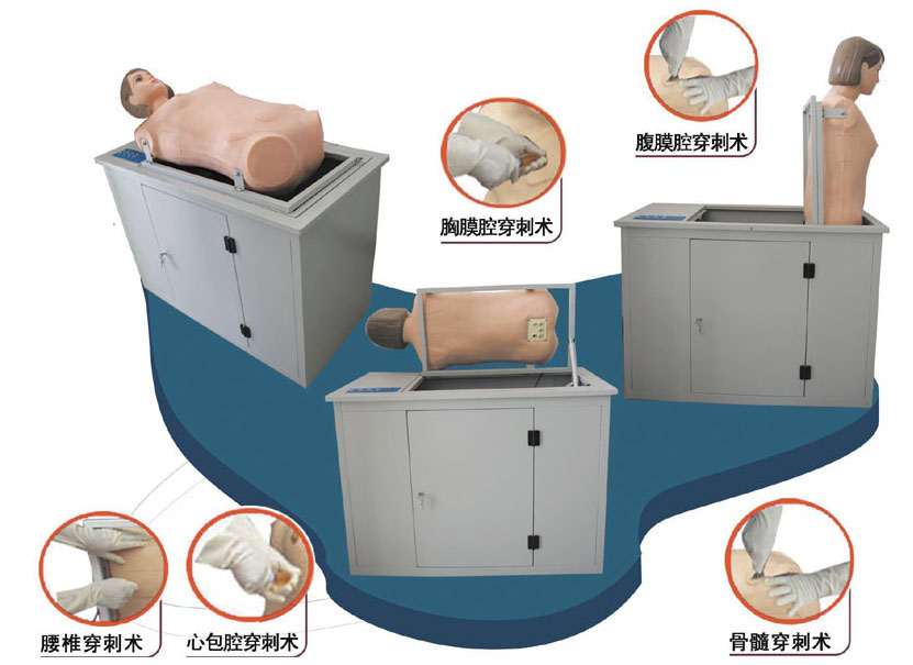 HL/CII 全自动多种穿刺叩诊电脑训练模型