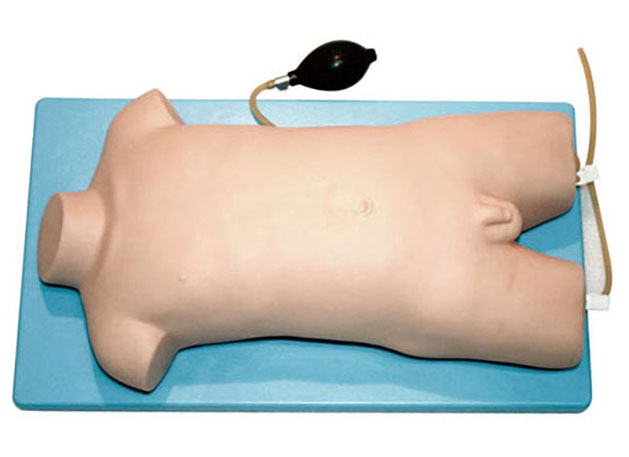 HL/H3218 儿童静脉与股动脉穿刺训练模型