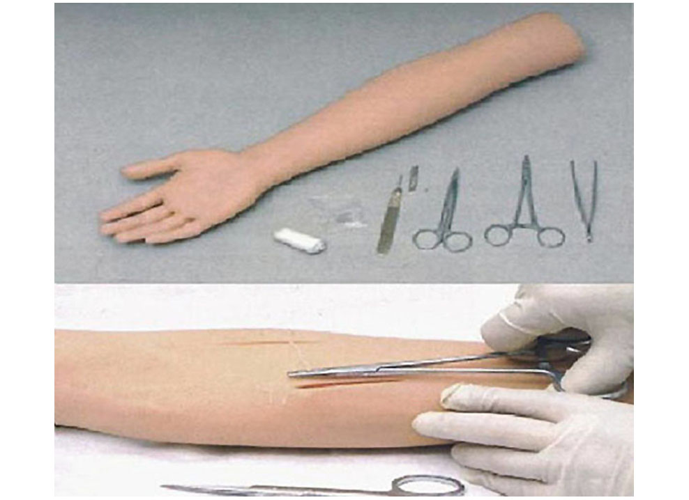 HL/FS 高级外科手臂缝合训练模型