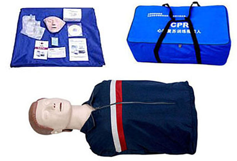 HL/CPR100 简易型半身心肺复苏模型