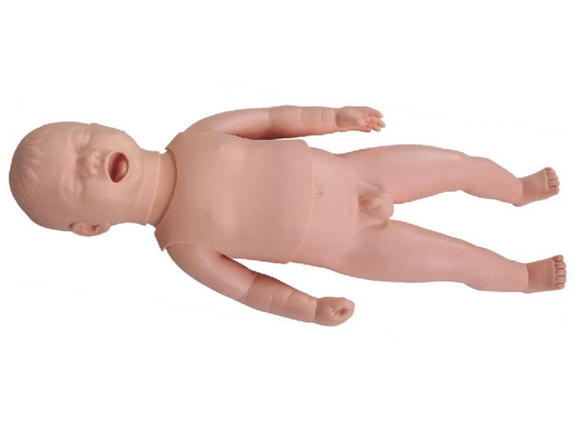 HL/131 新生儿生长指标评定及护理训练模型