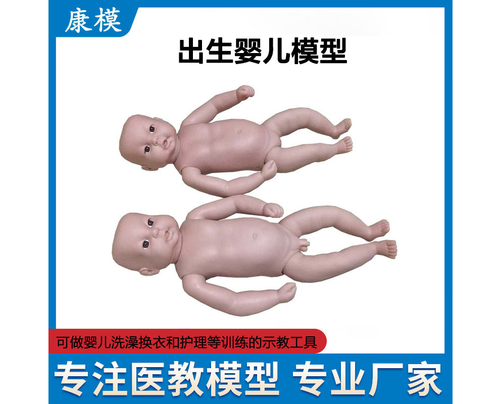 心肺复苏模拟人|医学教学模型|心肺复苏模型|护理人模型|上海宏廉科教设备有限公司官网