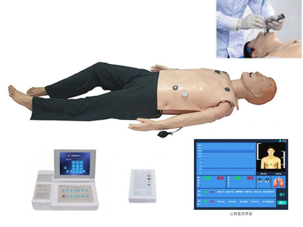 HL/ALS800A 高级多功能急救训练模拟人（心肺复苏CPR、气管插管、除颤起搏四合一功能、嵌入式系统）