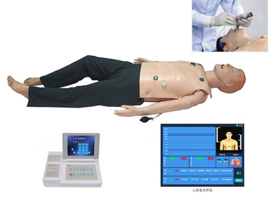 HL/ALS800 高级多功能急救训练模拟人（心肺复苏CPR与气管插管综合功能、嵌入式系统）