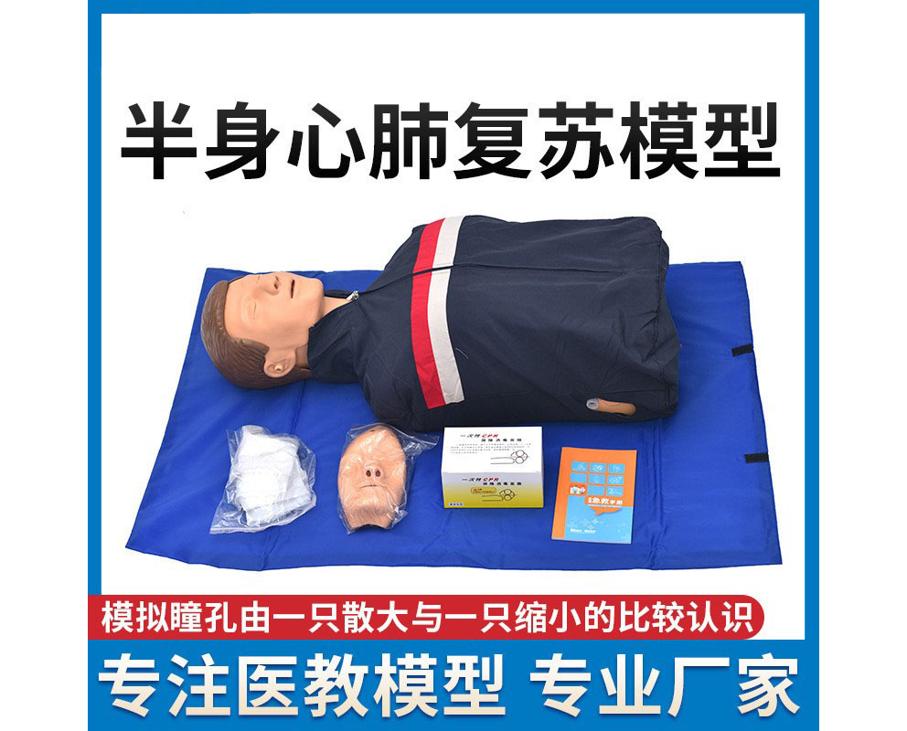 HL/CPR100 半身心肺复苏模型