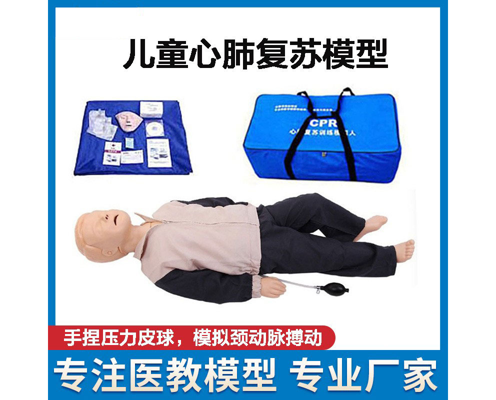 HL/CPR180 儿童心肺复苏模型