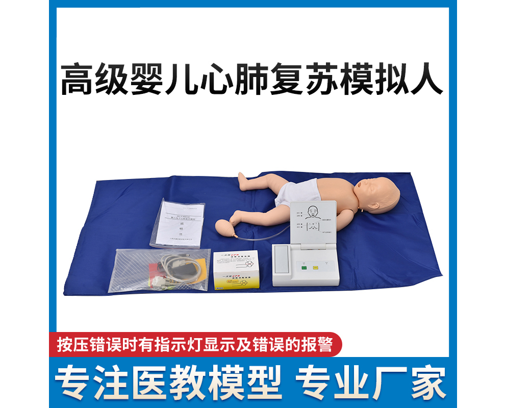 HL/CPR160 高级婴儿心肺复苏模拟人