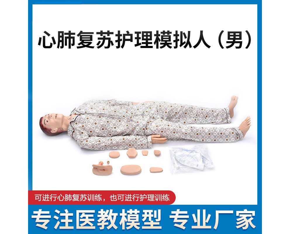 HL/CPR2000A 心肺复苏护理模拟人（男）